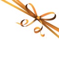 orange colored ribbon bow Royalty Free Stock Photo