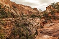 Orange colored rocks at Zion, USA