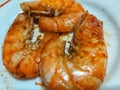 Orange colored shrimp served on a plate Royalty Free Stock Photo