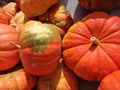 Orange colored winter squash on display in a market