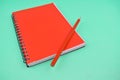 Orange colored wood pencil crayon placed on top of a orange color note diary Royalty Free Stock Photo