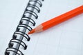 Orange colored wood pencil crayon placed on top of a white spiral note book Royalty Free Stock Photo