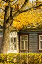 Orange colors tree leafs on the old house roof in authumn time Royalty Free Stock Photo