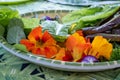 Orange colour Nasturtium edible flowers grown on an allotment in north London UK.