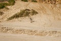 Orange coloured sand dunes and beach at Bayleys beach in Northland