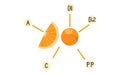 Orange and the complex of vitamins it contains, illustration for journalistic materials