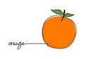Orange continuous one line drawing, fruit vector illustration Royalty Free Stock Photo