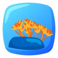 Orange corals in a blue aquarium. Cartoon style marine life scene. Underwater coral reef environment vector illustration