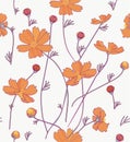 Orange cosmos flowers