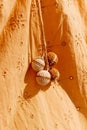 Orange cotton shirt with four multi-colored wool pom poms attached