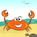 Orange crab with a smile in the afternoon on the sandy beach.