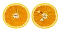 Orange crop isolated