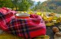 Orangecup with hot tea covered with red checked scarf across fall forest, nuts, yellow leaves. Autumn still life. Background. Copy