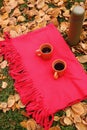 Orange cups with black tea and thermos bottle on red carpet and green grass and fallen leaves.