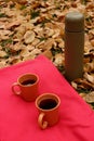 Orange cups with black tea and thermos bottle on red carpet and green grass and fallen leaves. Royalty Free Stock Photo