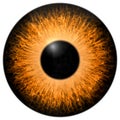 Orange 3d eye texture with black fringe Royalty Free Stock Photo