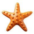 Orange 3 D starfish with raised circular bumps on white background ocean marine Royalty Free Stock Photo