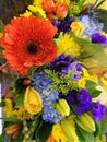 Orange daisy, blue carnation and yellow chrysanthemum flowers