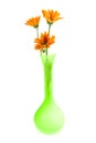 Orange daisy flowers in green vase Royalty Free Stock Photo