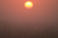 Orange dawn with mist Royalty Free Stock Photo