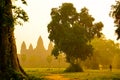 Orange dawn sunrise at Angkor Wat Temple in Cambodia. Siem reap city Royalty Free Stock Photo