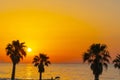 Orange dawn sunrise or sunset on the beach with palm trees in Spain Royalty Free Stock Photo