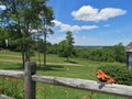 Orange Daylilies growing along a wooden fence Royalty Free Stock Photo