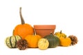 Orange decoration pumpkins and a empty flowerpot