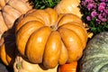 Orange decorative pumpkin in sunlight autumn background, selective focus, shallow DOF Royalty Free Stock Photo