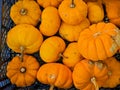 Orange dekorative gourds in a basket Royalty Free Stock Photo