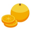 Orange diet icon isometric vector. Food nutrition Royalty Free Stock Photo