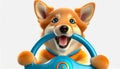 Orange dog behind steering wheel - Novice driver concept