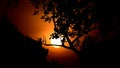 Orange dramatic sunrise behind trees in a fresh morning from india