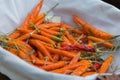 Orange Dried Chili Peppers inside White Bowl Royalty Free Stock Photo