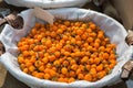 Orange Dried Chili Peppers inside White Bowl Royalty Free Stock Photo