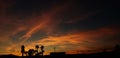 Orange dusk with Palm silhouettes