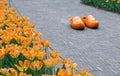 Orange dutch clogs Royalty Free Stock Photo