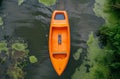 Orange empty boat floating on green algae covered river Royalty Free Stock Photo