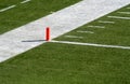 Orange Endzone Marker