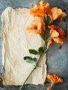 Orange Eschscholzia flowers adorn aged, crumpled paper, exuding an old-world charm with a touch of nature.