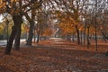 Morning in retiro, madrid