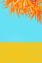 Orange, exotic plant on bright, blue background, minimalistic background Royalty Free Stock Photo