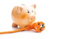 Orange extension Power Cord and piggy bank isolated on white background Royalty Free Stock Photo