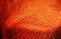 Orange Fabric with Peales, Christmas Period Royalty Free Stock Photo