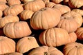 Orange Fairy Tale Pumpkins