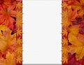 Orange Fall Frame for your message or invitation