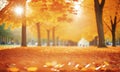 Orange fall leaves in park, sunny autumn natural background, copy space