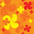 Orange fan background Royalty Free Stock Photo