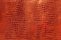 Orange faux python skin snakes, crocodile, trend, fashion, background