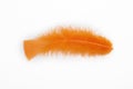 Orange feather Royalty Free Stock Photo